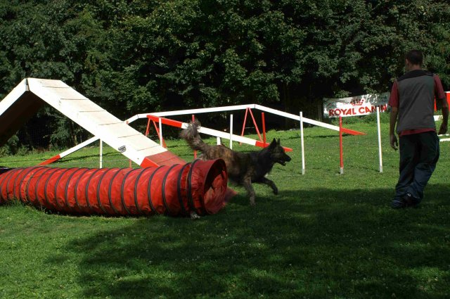 agility 2011-08